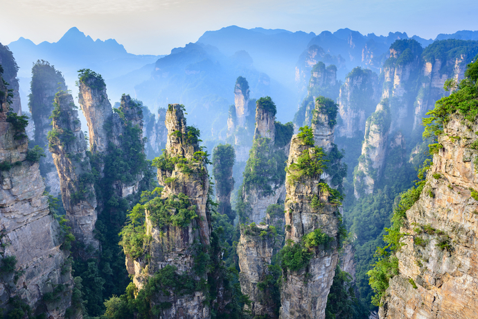 The most beautiful places in the world with the most amazing nature and wildlife in them are usually the worst places politically. Agree or Disagree?