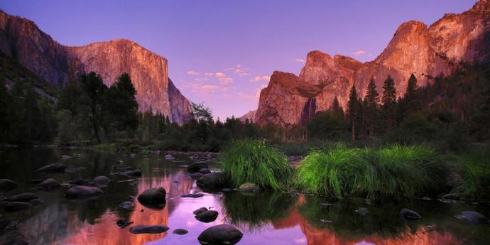 The most beautiful places in the world with the most amazing nature and wildlife in them are usually the worst places politically. Agree or Disagree?