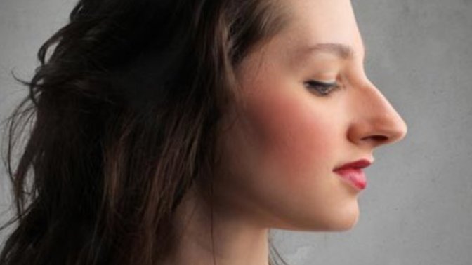 Why are large breasts attractive but large noses and jawlines on women aren't?