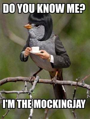 Is sending memes flirting?