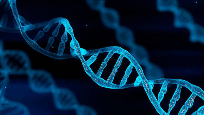 If you had an Ancestry DNA test what would you want or not want to discover?