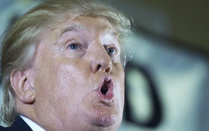 What would happen if Donald Trump was reelected for president in 2024?