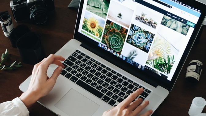 Would you like to work at a company or become independent and establish your own?