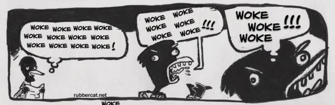 How would you feel if you went to a place and the only word they could say was woke?