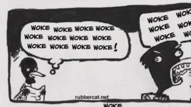 How would you feel if you went to a place and the only word they could say was 'woke'?