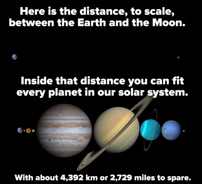 What is your favorite random fact?