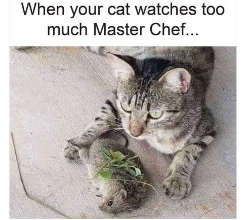 Whats the best thing your pet has found?