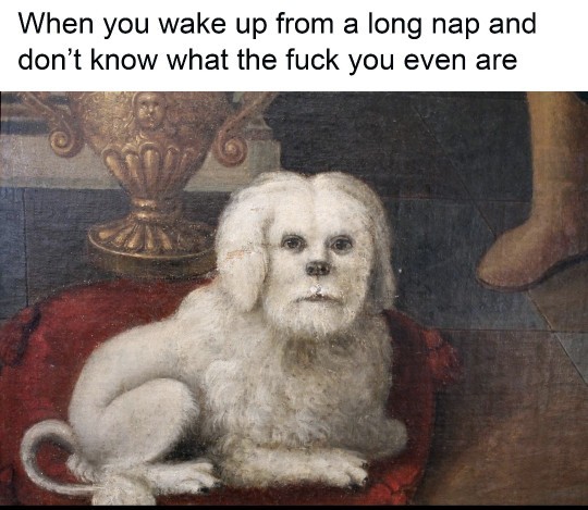 How often do you take naps?