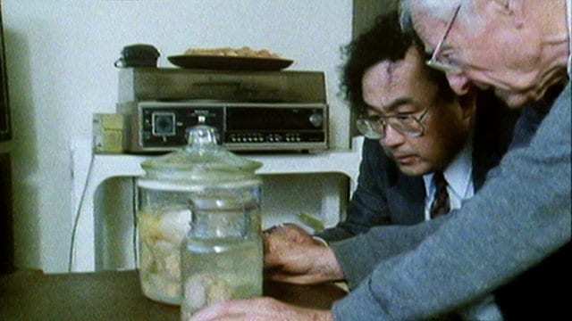 Einstein's brain was pickled in alcohol. I didn't even know he drank.