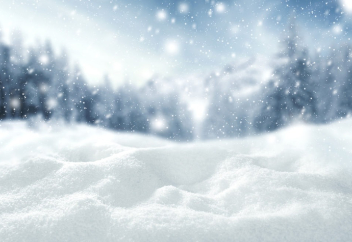 Have you seen the record snow up North?