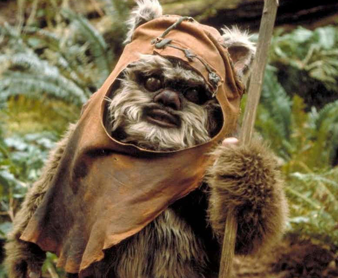 If You Could Magically Turn Into A Ewok, Elf Or Gremlin Which One Would You Turn Into?