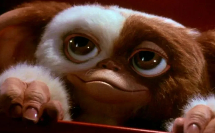 If You Could Magically Turn Into A Ewok, Elf Or Gremlin Which One Would You Turn Into?