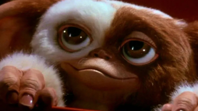 If You Could Magically Turn Into A Ewok, Elf Or Gremlin Which One Would You Turn Into?