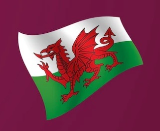 USA plays Wales tomorrow in the World Cup. Who do you think will win?