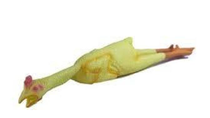 Lab grown chicken is here now in a store near you, will you eat it?