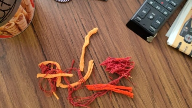 Is this safe for any dog or especially a 9 puppy to be able to keep a toy of theirs even after they have already been ripped and had these threads?