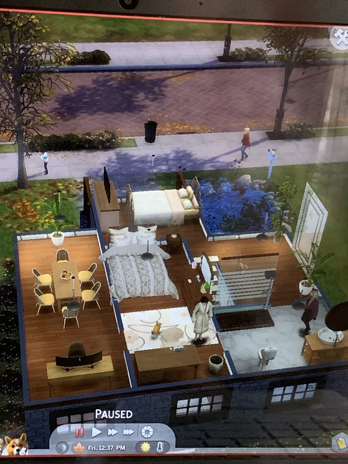 What do you guys think of the new sims 4 house that I built?