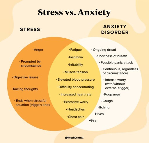 What SMALL things make your anxiety spike?