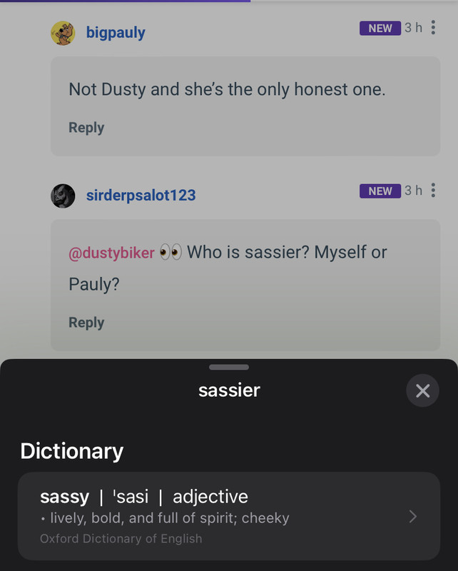 Do you think I’m sassy?