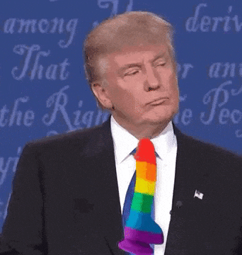 If Donald Trump came out as non-binary, would you be more or less likely to vote for them?