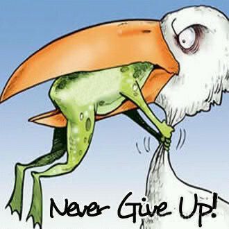 Which are the best motivational quotes ever?