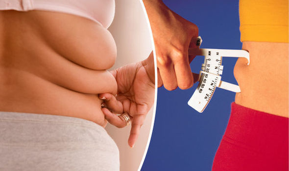 Which body fat percentage on women is the most attractive?