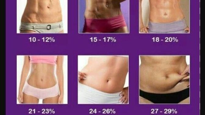Which body fat percentage on women is the most attractive?