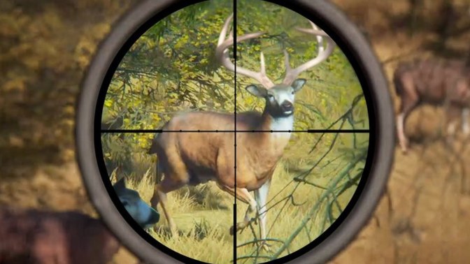 Have you ever killed an animal? (Nonhuman) did you feel remorse or did you just feel it is natural for a human to kill an animal?