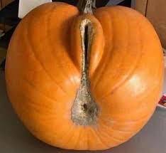Pumpkin, canned or fresh?