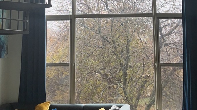 Do you enjoy gloomy days?