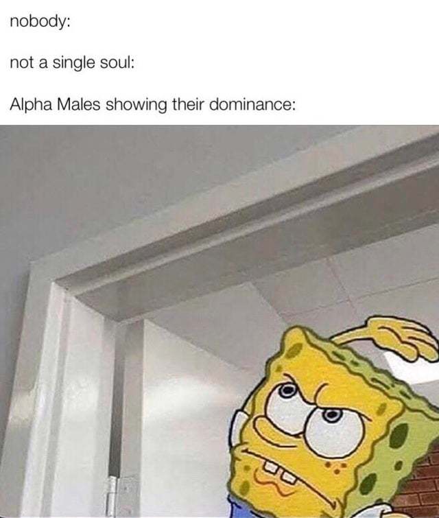 Single Girls, is the dating pool for you like this?