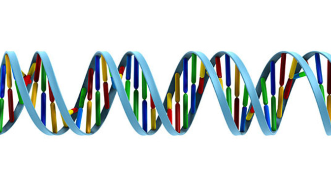 What would happen if we have genetically modified people in this world?