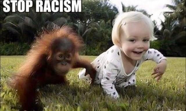 Is having a gorilla as a team mascot that doesn't match the team's nickname nor represents the city or state racist or has racists undertones to it?