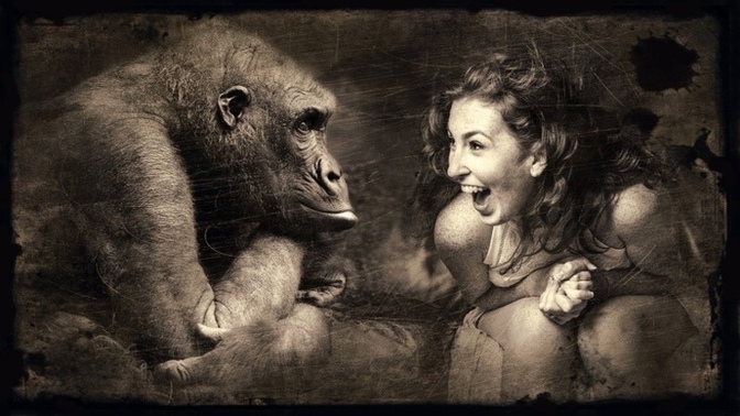 Are humans still considered to be an animal species?