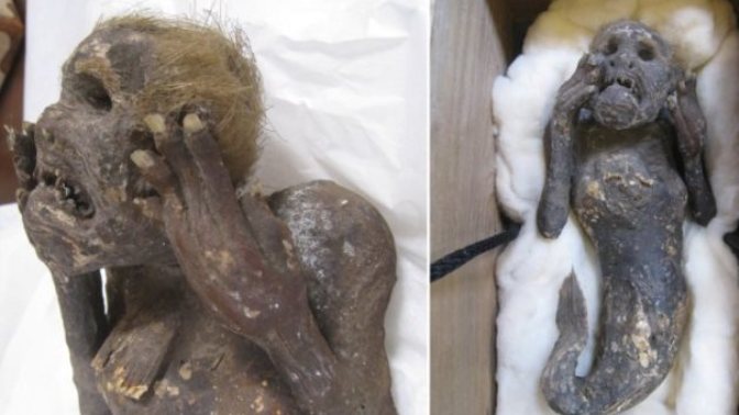 How would you react if hypothetically archeologist discovered a mermaid fossil, proving humans evolved from straight from fish and not apes?