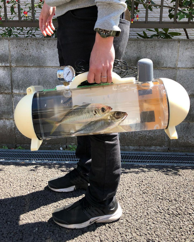 Dog walker helping fish map the rest of the world