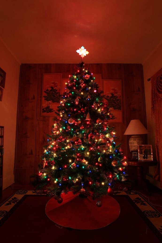 Do you prefer multi colored lights or white lights on Christmas trees?