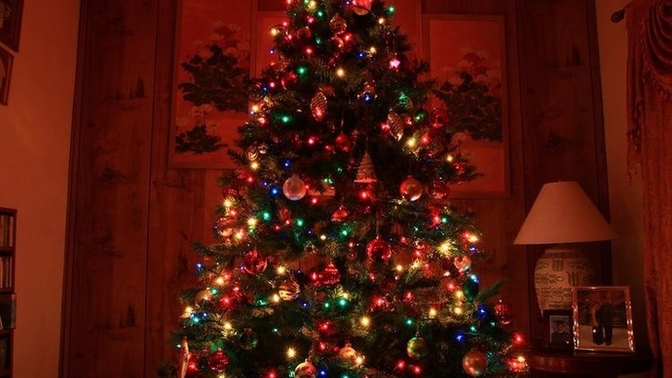 Do you prefer multi colored lights or white lights on Christmas trees?