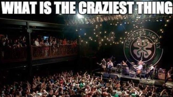 What's the craziest thing that you have seen at a concert?