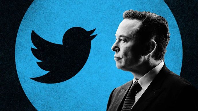 Do You Approve or Disapprove the Direction Elon Musk is Taking Twitter to?