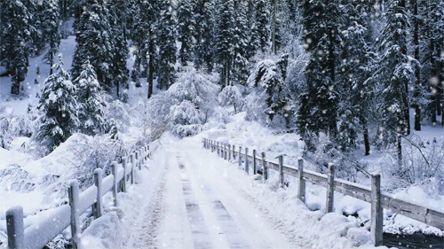 Have you had any snow fall in your area recently?