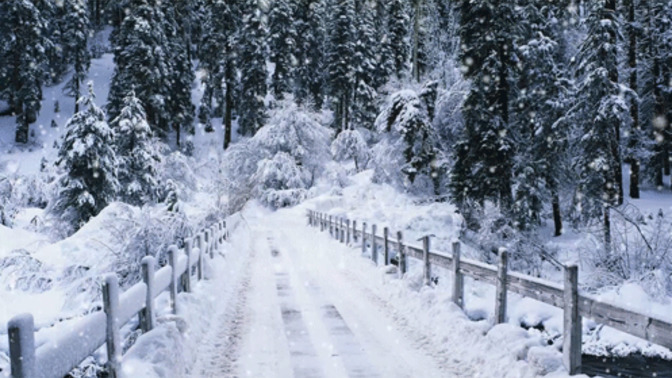 Have you had any snow fall in your area recently?