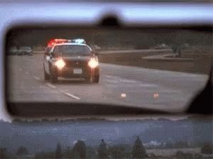 Have you ever ridden inside a police car before?