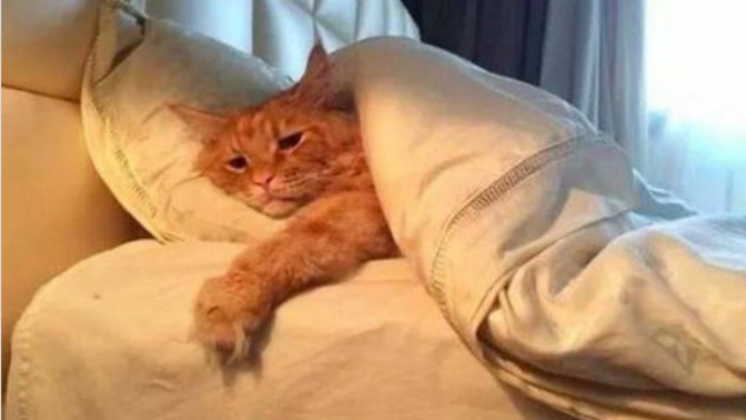 What’s the worst part of your mornings?