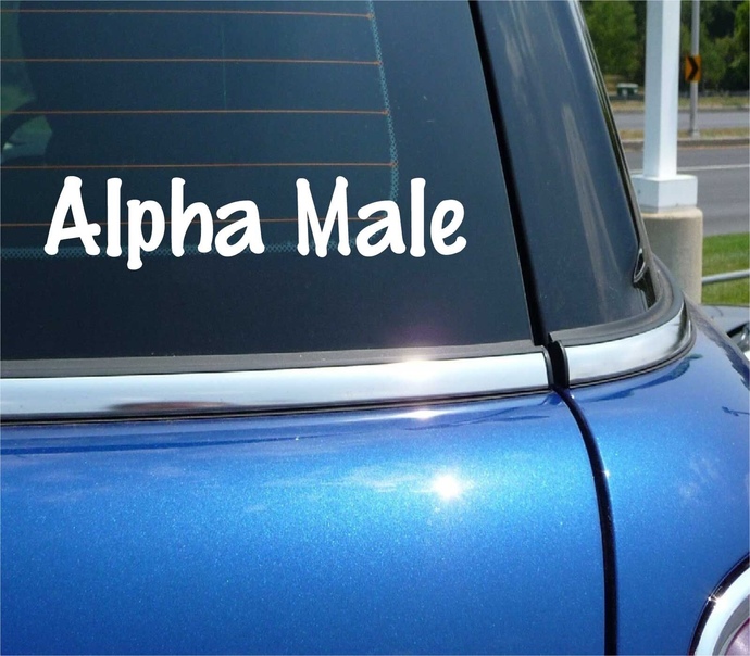 You confirm a date with a guy and then he shows up in his car with these two on the back windshield. Do you proceed or call the date off on the spot?
