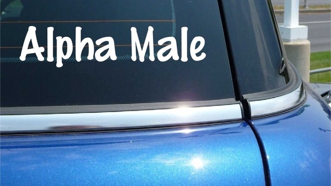 You confirm a date with a guy and then he shows up in his car with these two on the back windshield. Do you proceed or call the date off on the spot?