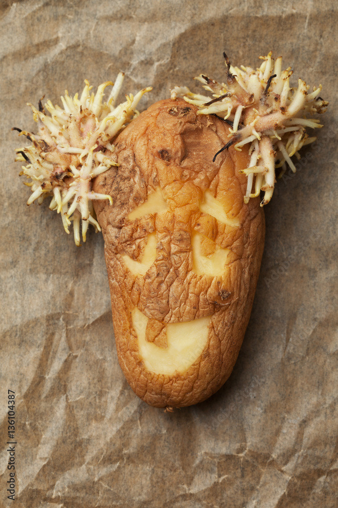 This is how deceit looks like