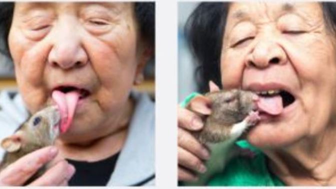 Am I the only one who feels disgusted when I see pictures of the old ladies french kissing rats/mice? How could someone think it is normal?