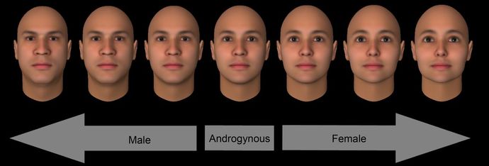 Guys, Why do you not like big noses? would you date a girl if she had one?