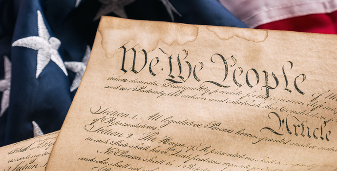 Who thinks that the Constitution should be ripped up - all laws should be discarded - and without any rule of law - Trump should be President  ?